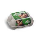 CAMPONIOS Ovos Solo Classe M 6 un