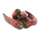 Malagueta Embalada 100 g Malagueta Embalada 100 g