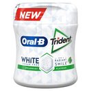 ORAL-B Pastilhas Bottle White Spearmint 68 g ORAL-B Pastilhas Bottle White Spearmint 68 g