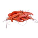 BRASMAR Gambão 20/30