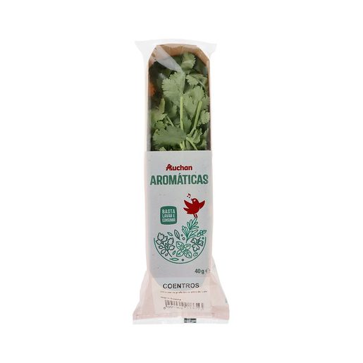 AUCHAN Molho de Coentros 40 g