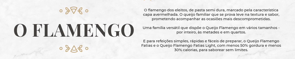 Banner-Texto-O-Flamengo.jpg