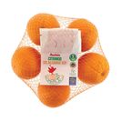 AUCHAN Laranja Algarve IGP Cultivamos o Bom 1,5 kg