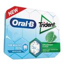 TRIDENT Pastilhas Oral-B Spearmint 17 g TRIDENT Pastilhas Oral-B Spearmint 17 g