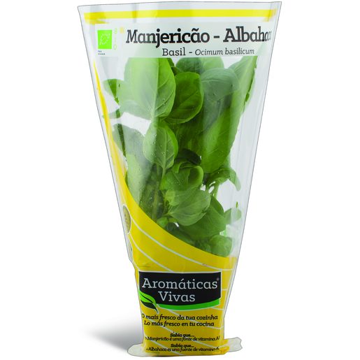 AROMÁTICAS VIVAS Mangericão em Vaso 1 Un AROMÁTICAS VIVAS Mangericão em Vaso 1 Un