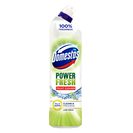 DOMESTOS Gel Sanitário Lime 700 ml
