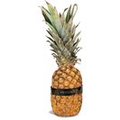 Abacaxi Maturado (1 un = 2075 g aprox)